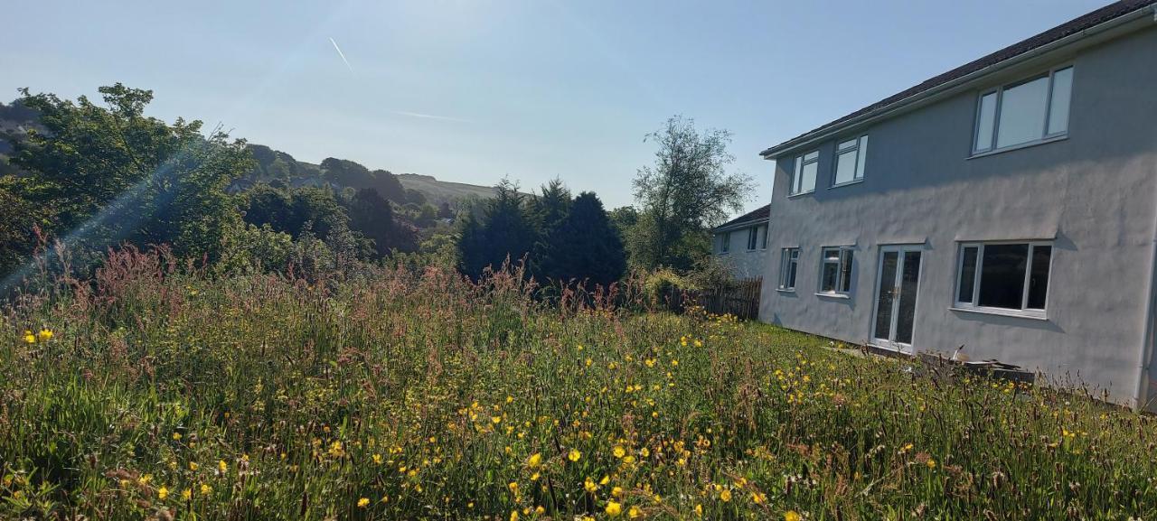 Highfield House, Parracombe, Modern B&B Екстериор снимка